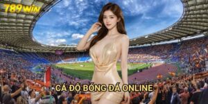 Cá Độ Bóng Đá Online 789win: Hướng Dẫn Cược Thể Thao An Toàn Và Hợp Pháp